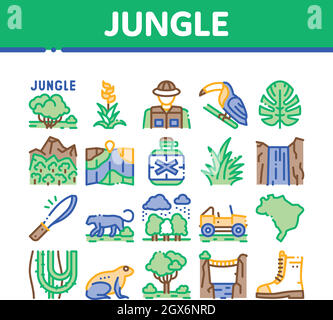 Dschungel Tropical Forest Collection Icons Set Vektor Stock Vektor