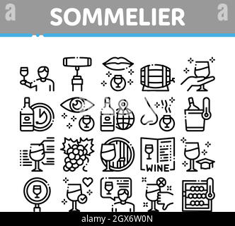 Sommelier Weinprobe Sammlung Symbole Set Vektor Stock Vektor