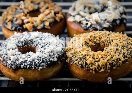 Zwei Schokoladen-Donuts vorne und zwei hinten. Mit geröstetem Kokosnusstopping. Stockfoto