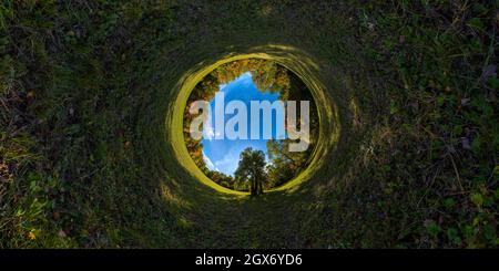 Hyperbolische Tunnelprojektion von 360 x 180 Grad kugelförmigem Panorama von sonniger herbstlicher gemähter Wiese und gelbem Wald an seinen Rändern mit blauem Himmel und c Stockfoto