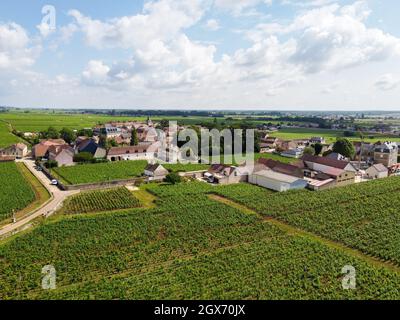 Luftblick auf grüne Grand Cru- und Premier Cru-Weinberge mit Reihen von Pinot Noir-Trauben in Cote de nuits, die aus berühmten roten und weißen Burgun hergestellt werden Stockfoto