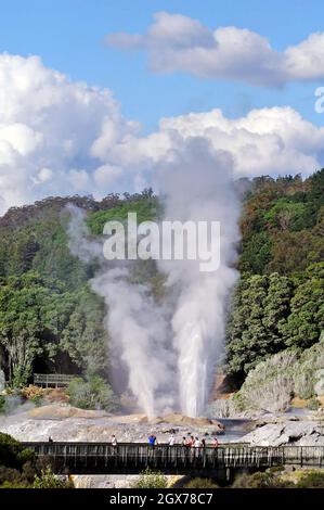 Der Pohutu Geyser ist ein aktiver Geysir im Vulkankreis Taupo auf der Nordinsel in Rotorua, Neuseeland. Der Geysir wird von zwei großen Touristenattraktionen geteilt, Te Puia und Whaka Village. Pohutu ist der größte aktive Geysir in der südlichen Hemisphäre mit konstanten Ausbrüchen, die manchmal 100 Fuß erreichen. Stockfoto