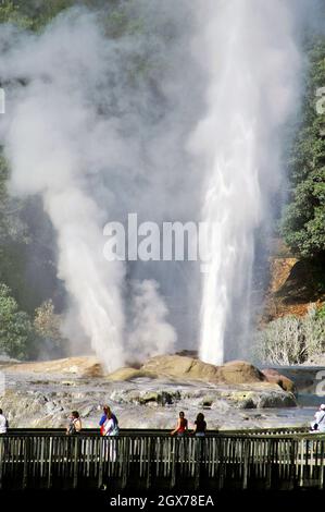 Der Pohutu Geyser ist ein aktiver Geysir im Vulkankreis Taupo auf der Nordinsel in Rotorua, Neuseeland. Der Geysir wird von zwei großen Touristenattraktionen geteilt, Te Puia und Whaka Village. Pohutu ist der größte aktive Geysir in der südlichen Hemisphäre mit konstanten Ausbrüchen, die manchmal 100 Fuß erreichen. Stockfoto