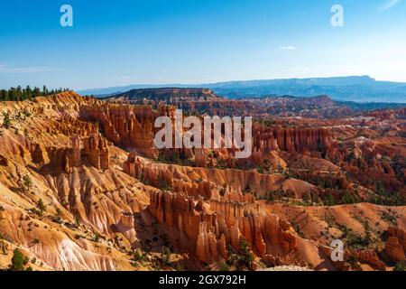 Bei einer Wanderung durch das Ampitheater im Bryce Canyon werden viele Hoodoo's und andere wunderschöne Orte entdeckt Stockfoto