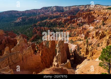 Bei einer Wanderung durch das Ampitheater im Bryce Canyon werden viele Hoodoo's und andere wunderschöne Orte entdeckt Stockfoto