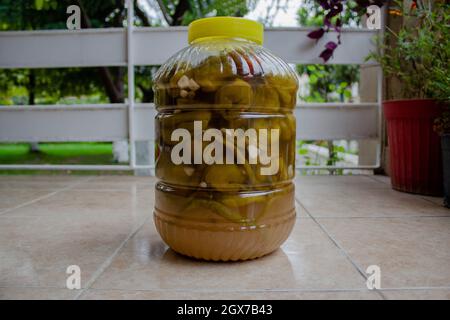Eine große Trommel voller grüner Pfeffereingelegter. Gemischte Gurke im türkischen Stil. Stockfoto