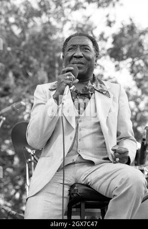 Der amerikanische Bluesman Muddy Waters trat im Juli 1981 beim Capital Radio Jazz Festival in Knebworth, England, auf. Stockfoto