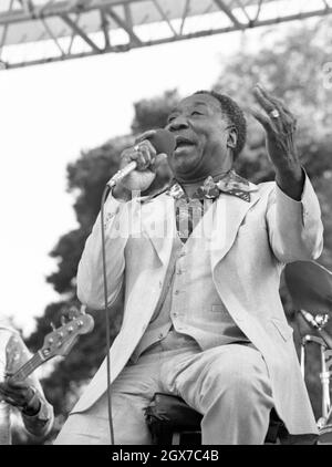 Der amerikanische Bluesman Muddy Waters trat im Juli 1981 beim Capital Radio Jazz Festival in Knebworth, England, auf. Stockfoto