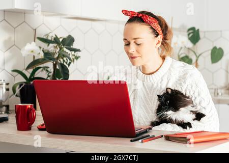 Die junge Frau sitzt mit rotem Laptop zu Hause in der Küche in rotem Verband und weißem Pullover und sieht den Monitor mit der Katze in den Händen an. Heimarbeit oder Studium CO Stockfoto