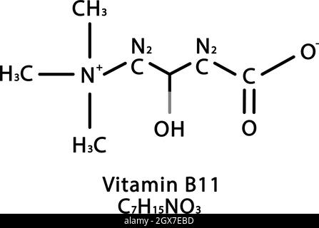 Vitamin B11 L-Carnitin-Molekülstruktur. Vitamin B11 L-Carnitin Skelett chemische Formel. Chemische Molekülformeln Stock Vektor