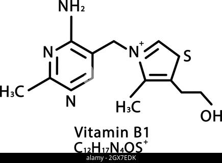 Vitamin B1 Thiamin-Molekülstruktur. Vitamin B1 Thiamin Skelett chemische Formel. Chemische Molekülformeln Stock Vektor