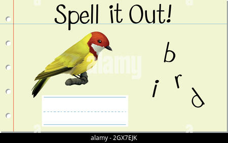 Buchstabieren Sie das englische Wort Bird Stock Vektor