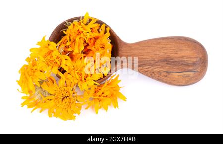 Getrocknete Ringelblumen in Holzlöffel, isoliert auf weißem Hintergrund. Blütenblätter von Calendula officinalis. Heilkräuter. Stockfoto