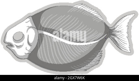 Fossiles Fischskelett auf weißem Hintergrund Stock Vektor