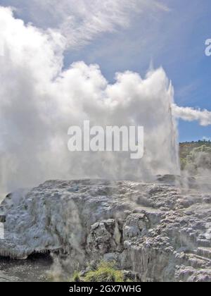 Der Pohutu Geysir bricht aus, wie er vom Whaka Village in Rotorua, Neuseeland, aus gesehen wird. Der sehr aktive Geysir ist der größte in der südlichen Hemisphäre, der regelmäßig viele Male am Tag in Höhen von fast 100 Metern schießt. Der Geysir befindet sich im Whaka Thermal Valley, das Teil der Taupo Volcanic Zone ist. Im Sommer tauchen die Bewohner von Whaka Village in das warme Wasser auf dem Grund des Geysirs ein, der den Spitznamen Bluies trägt. Stockfoto