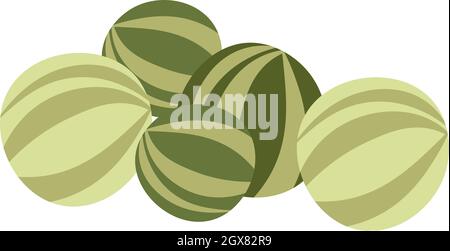 Wassermelone frisches Obst, organische und natürliche Vektor Stock Vektor