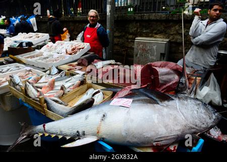 Der bunte Fischmarkt am Morgen in Catania, Italien. Stockfoto