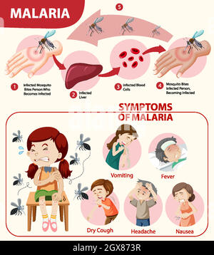 Infografik zu Malaria-Symptomen Stock Vektor