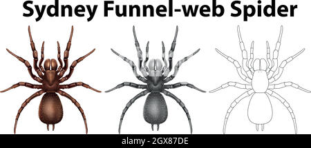 Doodle-Charakter für sydney Trichter Netz Spinne Stock Vektor