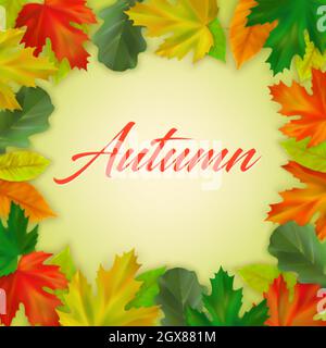 Realistische Herbst Ahorn und Eiche Blätter auf farbigem Hintergrund mit Inschrift Herbst. Herbstbanner Vorlage, Poster, Postkartendesign. Vektorgrafik Stock Vektor