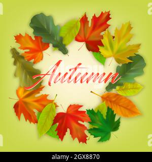Realistische Herbst Ahorn und Eiche Blätter auf farbigem Hintergrund mit Inschrift Herbst. Herbstbanner Vorlage, Poster, Postkartendesign. Vektorgrafik Stock Vektor