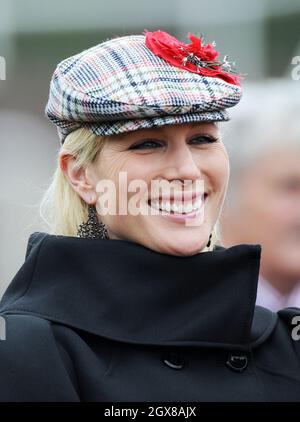 Zara Phillips nimmt am 16. März 2011 am Ladies Day beim Cheltenham Festival Teil. Stockfoto