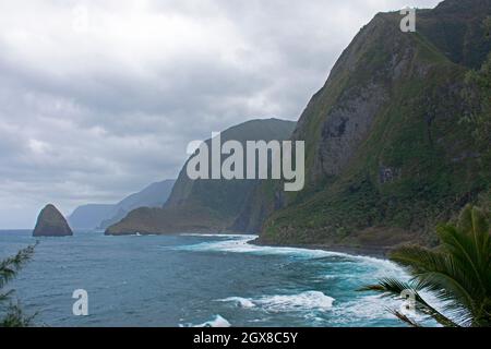 Molokai Klippen von Kalawao, Kalaupapa Halbinsel, Molokai, Hawaii, USA Stockfoto