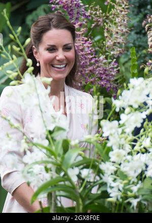Catherine, Herzogin von Cambridge, blickt auf eine Orchidee, die zu Ehren von Diana, Prinzessin von Wales, benannt wurde, während eines Besuchs der Botanischen Gärten von Singapur am ersten Tag einer Diamond Jubilee Tour durch den Fernen Osten am 11. September 2012. Stockfoto