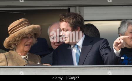 Camilla, Herzogin von Cornwall und ihr Sohn Tom Parker Bowles genießen das Rennen während des Ladies Day beim Cheltenham Festival auf der Cheltenham Racecourse am 12. März 2014. Stockfoto