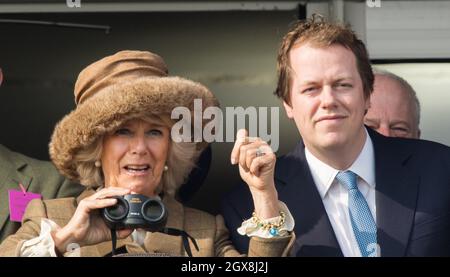 Camilla, Herzogin von Cornwall und ihr Sohn Tom Parker Bowles genießen das Rennen während des Ladies Day beim Cheltenham Festival auf der Cheltenham Racecourse am 12. März 2014. Stockfoto