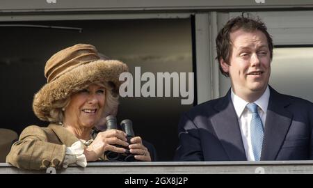 Camilla, Herzogin von Cornwall und ihr Sohn Tom Parker Bowles genießen das Rennen während des Ladies Day beim Cheltenham Festival auf der Cheltenham Racecourse am 12. März 2014. Stockfoto