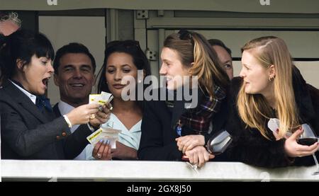 Lily Allen nimmt am 14. März 2014 am Gold Cup Day beim Cheltenham Festival Teil Stockfoto