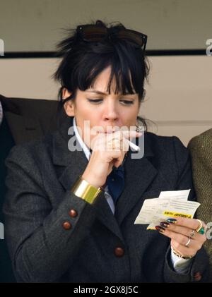 Lily Allen nimmt am 14. März 2014 am Gold Cup Day beim Cheltenham Festival Teil Stockfoto