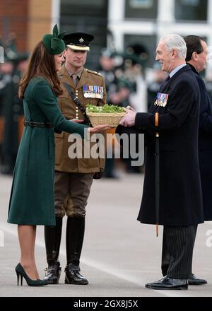 Catherine, Herzogin von Cambridge, stellt bei der St. Patrick's Day Parade in Mons Barracks in Aldershot am 17. März 2014 Schamhacken vor. Stockfoto