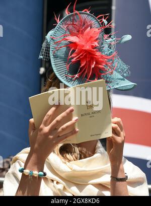 Eine Rennfahrerin liest ihre Rennkarte am ersten Tag von Royal Ascot am 17. Juni 2014. Stockfoto