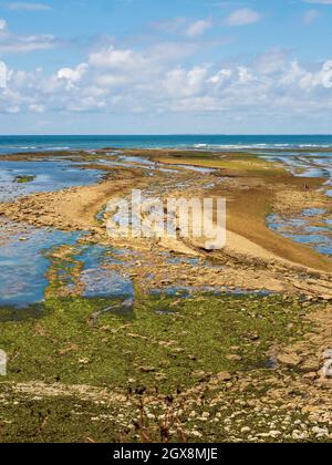 Pointe de Chassiron bei Ebbe, Ile d'Oléron, Charente Maritime, Frankreich. Stockfoto