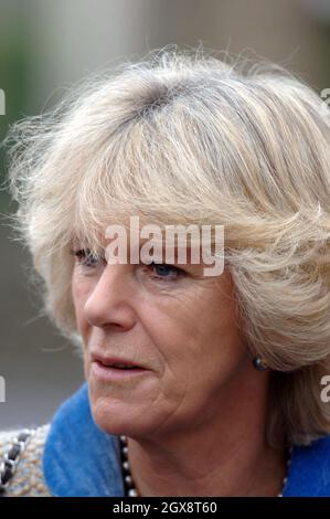 Camilla, Herzogin von Cornwall besucht die Chippenham Polizeistation während ihres eintägigen Besuches in der Region, am 22. November 2005 in Chippenham, England. Anwar Hussein/allactiondigital.com *** Ortsüberschrift *** Camilla, Herzogin von Cornwall Stockfoto