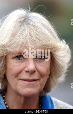 Camilla, Herzogin von Cornwall besucht die Chippenham Polizeistation während ihres eintägigen Besuches in der Region, am 22. November 2005 in Chippenham, England. Anwar Hussein/allactiondigital.com *** Ortsüberschrift *** Camilla, Herzogin von Cornwall Stockfoto