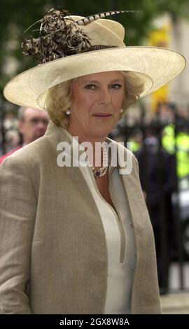 Camilla Parker Bowles in der Westminster Abbey anlässlich des 50. Jahrestages der Krönung. Royals, halbe Länge, Hut Stockfoto