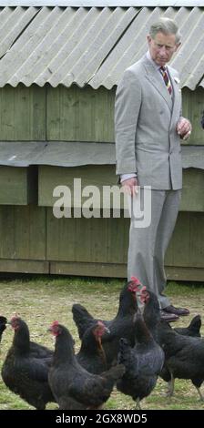 Der Prinz von Wales betrachtet Black Rock Hennen während eines Besuchs auf der Abbey Home Farm in Cirencester als Schirmherr der Soil Association. Der Prinz war dort, um das neue Ressourcenzentrum des Bauernhofes, den Grünen Raum, offiziell zu eröffnen, wo Kinder und Erwachsene mehr über die Nahrungsmittelproduktion, die Zubereitung und die Umwelt erfahren können. Volle Länge, Royals, Charles Â©Anwar Hussein/allaction.co.uk Stockfoto