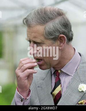 Der Prinz von Wales bei einem Besuch der Abbey Home Farm in Cirencester als Schirmherr der Soil Association. Der Prinz war dort, um das neue Ressourcenzentrum des Bauernhofes, den Grünen Raum, offiziell zu eröffnen, wo Kinder und Erwachsene mehr über die Nahrungsmittelproduktion, die Zubereitung und die Umwelt erfahren können. Headshot, Royals, Charles Â©Anwar Hussein/allaction.co.uk Stockfoto