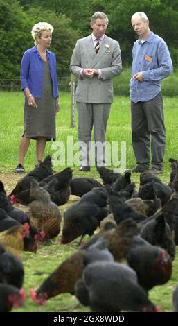 Der Prinz von Wales mit den Besitzern will und Hilary Chester-Master auf der Abbey Home Farm in Cirencester beobachten Black Rock Hennen bei einem Besuch in seiner Eigenschaft als Schirmherr der Soil Association. In voller Länge, Royals, Charles, Suit Â©Anwar Hussein/allaction.co.uk Stockfoto