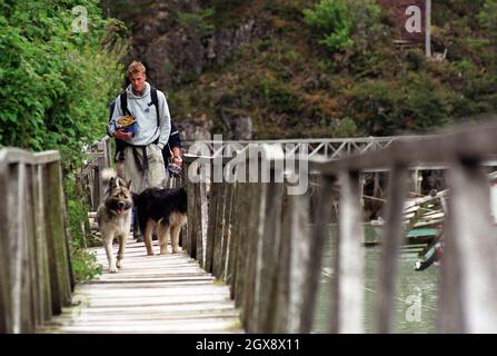 MONTAG, 11. DEZEMBER 2000. Prinz William auf dem Weg zur Reparatur von Gehwegen im Dorf Tortel, Südchile, während seiner Raleigh International Expedition. FOTO. ANWAR HUSSEIN Stockfoto