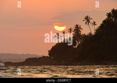 Wunderschöner tropischer Sonnenuntergang mit Palmen. Silhouette eines Kokosnussbaums und die Sonne beleuchtet die wahren Bäume am Strand bei Sonnenuntergang, Mirissa, Sri Stockfoto