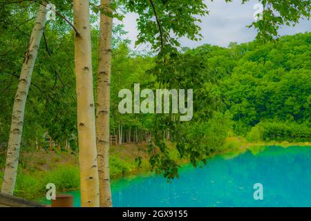 Blauer Teich, der wie ein Wald aussieht (Hokkaido Biei-Cho). Drehort: Hokkaido Biei-Cho Stockfoto