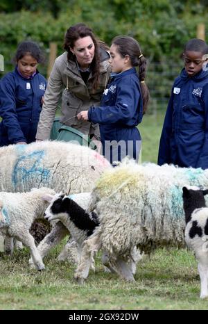 Catherine, Herzogin von Cambridge besucht am 03. Mai 2017 Bauernhöfe für Stadtkinder in Arlingham, Gloucestershire. Bauernhöfe für Stadtkinder ist eine Wohltätigkeitsorganisation, die Kindern in Großbritannien die Möglichkeit bietet, eine Woche lang auf einem echten Bauernhof zu leben und zu arbeiten Stockfoto