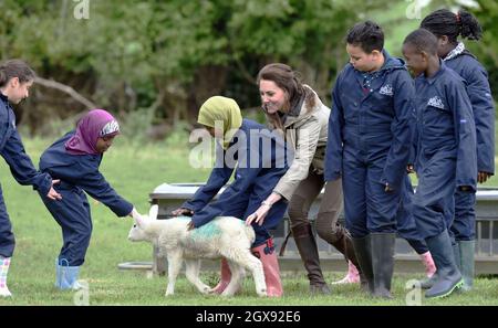 Catherine, Herzogin von Cambridge besucht am 03. Mai 2017 Bauernhöfe für Stadtkinder in Arlingham, Gloucestershire. Bauernhöfe für Stadtkinder ist eine Wohltätigkeitsorganisation, die Kindern in Großbritannien die Möglichkeit bietet, eine Woche lang auf einem echten Bauernhof zu leben und zu arbeiten Stockfoto