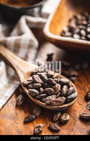 Geröstete Kakaobohnen in Holzlöffel auf Holztisch. Stockfoto