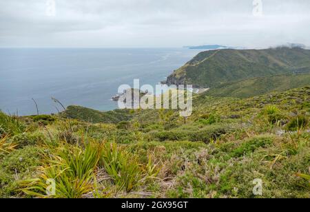 Küstenlandschaft rund um Cape Reinga auf der Nordinsel in Neuseeland Stockfoto