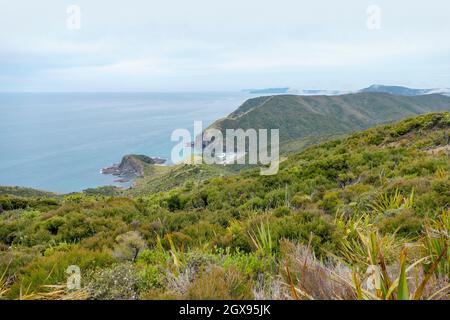 Küstenlandschaft rund um Cape Reinga auf der Nordinsel in Neuseeland Stockfoto